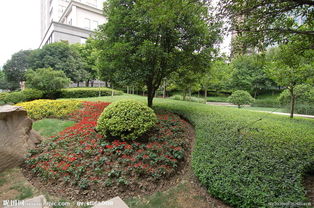 园艺栽培鱼池水景喷泉,植物墙设计施工养护,绿植租摆花木租赁养护,园林绿化养护施工设计