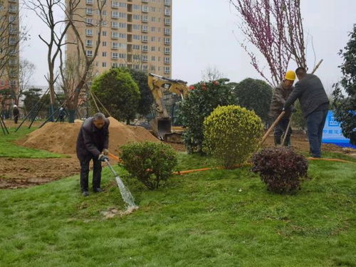 南阳市宛城区春季园林绿化提升工作成效明显