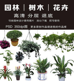 园林绿化工程花卉psd素材下载 6168741