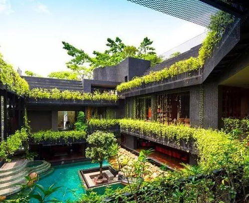经验丰富 通林景观 图 园林养护管理 滁州园林养护