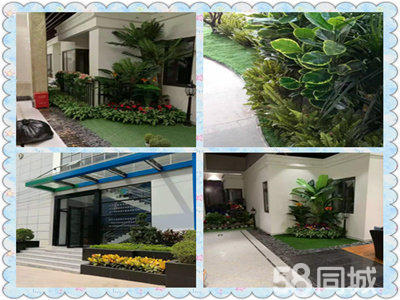 租花花卉租售 绿植租摆 工厂绿化 庭院绿化 园林工程